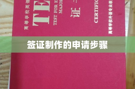 太湖签证制作的申请步骤